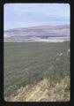 Alfalfa field and poultry buildings, Oregon, 1974