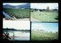 Composite slide of cranberry bog, sheep, cattle, and crops, 1976