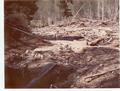 View of the North Fork Yachats River showing a debris dam caused by a headwall failure on Road 1503-E, the Glines-Depew road.