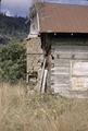 Cabin (Powers, Oregon)