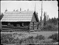 One room log school building, with Mt. Adams through trees in background.