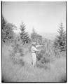 Dr. George Barnes at the Forest Experiment Station, June 1955
