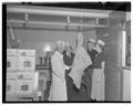 Students and faculty examining a side of beef in anticipation of the Homecoming barbecue, Fall 1952