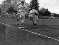 OSC vs. Oregon baseball game