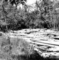 Upper Smith River filled with wood debris