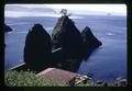 Coast near Port Orford, Oregon, circa 1970