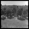 Attendee campground by Parker Stadium, American Institute of Biological Sciences national convention, August, 1962