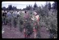 Susan Allen, Linda Reynolds and JARSI students on tour of miniature orchard, Oregon State University, Corvallis, Oregon, circa 1965