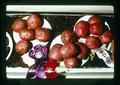 Potato sweepstakes winners, Benton County Fair, Corvallis, Oregon, circa 1973