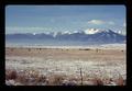 Beef cattle and Wallowa Mountains, near Union, Oregon, January 1970