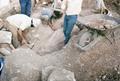 Excavations in Cyrene, Libya