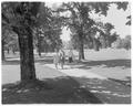 Lower campus scene, Summer 1963