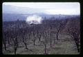 Spray haze over orchards, Mid-Columbia Branch Experiment Station, Oregon State University, Hood River, Oregon, circa 1965