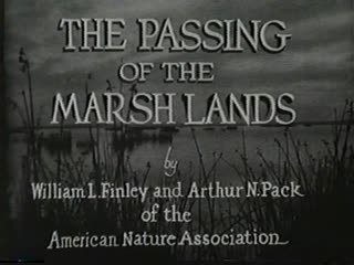 The Passing of the Marshlands