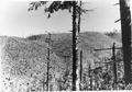 Blodgett Tract probably dated in the early 1940s.  Shows large area of burned over land that had been logged by Manary Logging Co. in the 1920's and early 1930's and burned over by the Big Creek fire in 1936.(2)