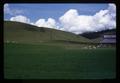 Improved sub-clover sheep pasture with 3 ewes per acre, 1963