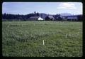 Grass plots, J.J. Astor Experiment Station, Oregon State University, Astoria, Oregon, October 31, 1967