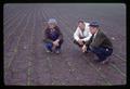 Carey Strome, William Lee, and Rex Warren examining turf plots, Hyslop Farm, Corvallis, Oregon, circa 1965