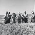 Gene Cross tells about research on barley and wheat plots at the Klamath Falls Experiment Station