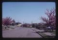 Houses on Witham Hill, Corvallis, Oregon, April 1974