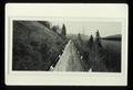 The Broughton Flume, Skamania County, Washington