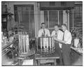 Chemistry professors Vernon Cheldelin, Bert Christensen, and Allen B. Scott working in a laboratory