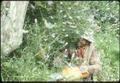 Man among flowers Camp Chilocote chopping vegetation around seedling to promote growth